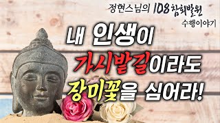 공덕을 자랑하지마라 | 가난 속 풍요로운 마음 갖는 법 | 집착의 양면성