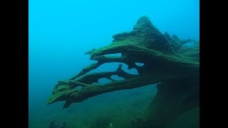 2017 10 27-28 北海道支笏湖diving