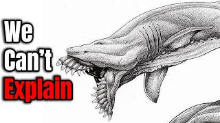 Extinct Creatures So BIZZARE They Look Fake