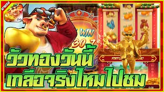 pgslot สล็อตวัวทอง สล็อตpg fortune ox วัวทองpg  : วันนี้เกลือจริงไหมไปชม