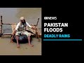 Pakistan reels from some of the worst flooding in decades | ABC News