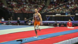 Bart Deurloo (NED) - Vault - 2017 AT\u0026T American Cup