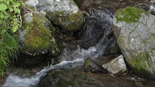 【自然音】山奥の沢の流れ−10分