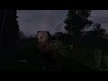 Я наигрался в dayz