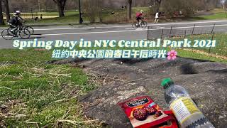 Spring Day in NYC Central Park 2021🌸紐約中央公園的春日午后時光