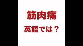 【筋肉痛　英語では？ 】「動画で観る！聴く！英語辞書動画」