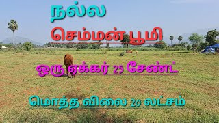 தம்மம்பட்டி  அடுது செந்தாரபட்டி அருகில் ஒரு ஏக்கர் 25 செண்ட் இடம் விற்பனைக்கு