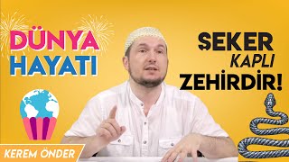 Dünya hayatı, şeker kaplı zehirdir! - Mektubat şerhi, 50. Mektup / Kerem Önder