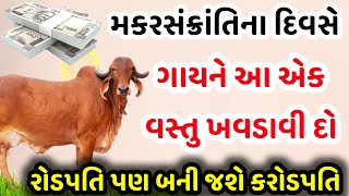 મકરસંક્રાંતિના દિવસે ચૂપચાપ ગાયને આ એક વસ્તુ ખવડાવી દો | Vastu Tips | Vastushastra | Makar Sankranti