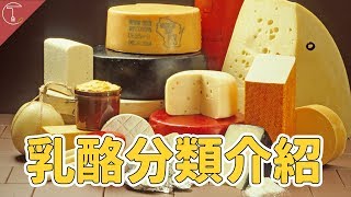 乳酪百百種 完整分類解密給你聽｜克里斯丁聊料理