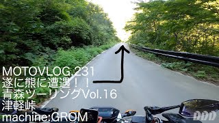 遂に熊に遭遇！！/津軽峠/青森ツーリングVol.16/GROM【モトブログ】moto231