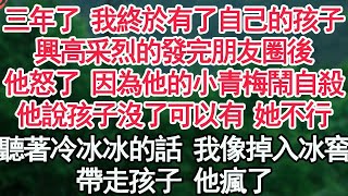 三年了 我終於有了自己的孩子，興高采烈的發完朋友圈後，他怒了 因為他的小青梅鬧自殺，他說孩子沒了可以有 她不行，聽著冷冰冰的話 我像掉入冰窖，帶走孩子 他瘋了