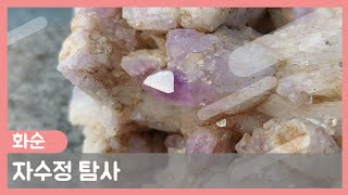 화순 자수정 탐사 amethyst