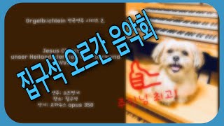 [숏핑거 집구석 오르간 연주회] Orgelbüchlein 전곡연주 시리즈 2. BWV626