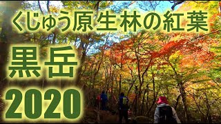 【黒岳】くじゅう紅葉は天狗岩で🍁【男池登山口】