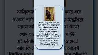 আফ্রিকার এই যুবক এবারে হজ্বে এসে রওজা শরীফের সামনে দাঁড়িয়ে অস্ত্রসিক্ত #allah #হজ্জ #shorts #হজ