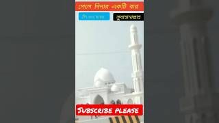 পেলে দিদার একটি #shorts #shortvideo #viralvideo #islamic_gojol #viral #banglagojol #trendingvideo