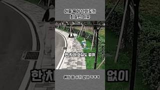 아들 육아 난이도가 최상인 이유