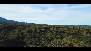 Rainforestation in the Cagayan de Oro River Basin