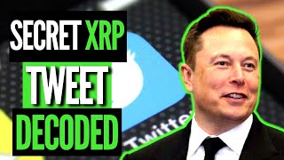 Elon Musk Just Literally Told Us To Buy XRP!