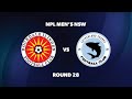 NPL Men’s NSW Round 28: Rockdale Ilinden FC v Sutherland Sharks FC