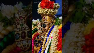 ஸ்ரீ ரங்கநாதர் போற்றி 🙏🌼🌺 #trending #aranganathar #sorgavasal #god #perumal