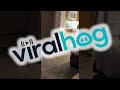 This Is What Its Like Having Two Cats || ViralHog