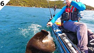 I Caught a HAMMERHEAD While Kayak Fishing Mussel Farms -- New Zealand Ep 6