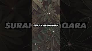 SURAH AL-BAQARA |Ayaat 21+22| Recitation by Mishary Rashid Alafasy | Islam The Heavenly Path
