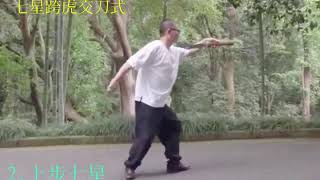 一多庐杨式叶派太极拳 - 二水居士太极刀