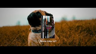 Movie Color LUT pack | CapCut, After Effects, Premiere Pro, Fcp, DaVinci Resolve and More