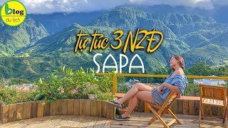 Kinh nghiệm du lịch Sapa 3 ngày 2 đêm tự túc dễ đi nhất