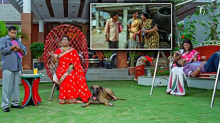 డబ్బున్న అల్లుడు కావాలని ఎందుకంత ఆరాటం || Best Comedy Scene || Telugu Cinemalu Thaggedele