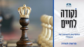 החשיבות העצומה של הכבוד! | נקודה לחיים | הרב גור גלון | ישיבת הר ברכה