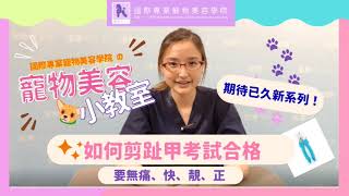 寵物美容小教室之【如何剪腳趾甲】考試合格