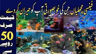 Fish Aquarium Shop Aquarium Fish Price in Pakistan All Kind Of Fishes Tank Accessories