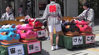 ８頭の赤ちゃん獅子もお口がパックン出来るのですね～　本祭り　酒田まつり2019　C0003