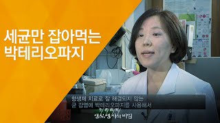 새균만 잡아먹는 박테리오파지 - (20130619_461회 방송)_세균과의 전쟁! 항생제 내성의 공포