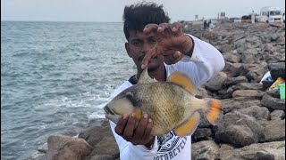 🐟 Trigger Fish Fishing  in Dhanushkodi  🎣