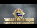 Уязвимые участники дорожного движения под особым контролем правоохранителей