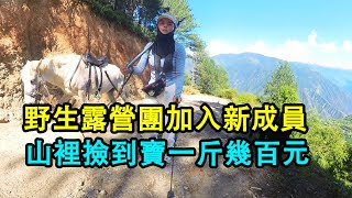 野生露營團有新成員，為了騎馬煞費苦心，山裡撿到寶貝，一斤幾百元