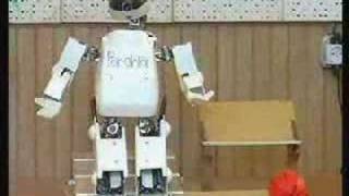 Iranian walking Robot