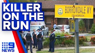 Murder probe underway after woman found dead in Sydney home | 9 News Australia