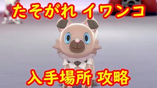 【たそがれ イワンコ】入手場所 攻略【鎧の孤島 ポケモン剣盾DLC】