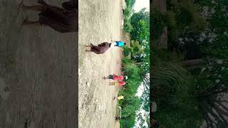 test cricket #youtube #nature #mk #cricketfunny #jagatpur #village