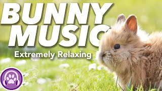Music For Rabbits Popnable Music For Rabbits Popnable