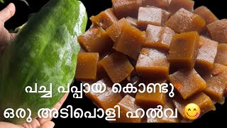 പച്ച പപ്പായ കൊണ്ട് രുചിയൂറും മധുരം😋 കുറഞ്ഞ ചേരുവയിൽ ഒരു കിടിലൻ ഹൽവ |must try recipe#malayalam#halwa