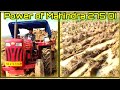 Mahindra 275 DI Tractor Pulling Full loaded Trolley Performance | Tractor video | Tractor Guru Subha