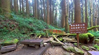 特富野古道 - 嘉義阿里山 Tefuye Trail, Alishan Chiayi (Taiwan)