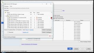 Android Use SDK manager